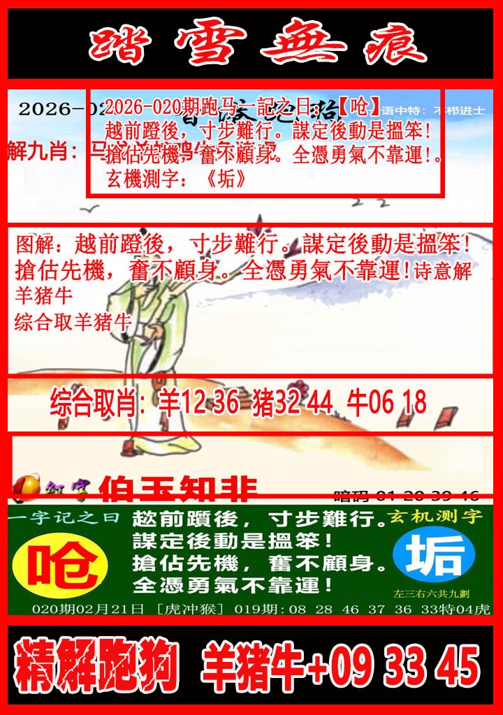 020期踏雪无痕解跑狗[图]
